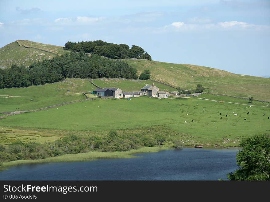 Beautiful Northumbrian Farm steading with a lough at the filed infront of it. Beautiful Northumbrian Farm steading with a lough at the filed infront of it