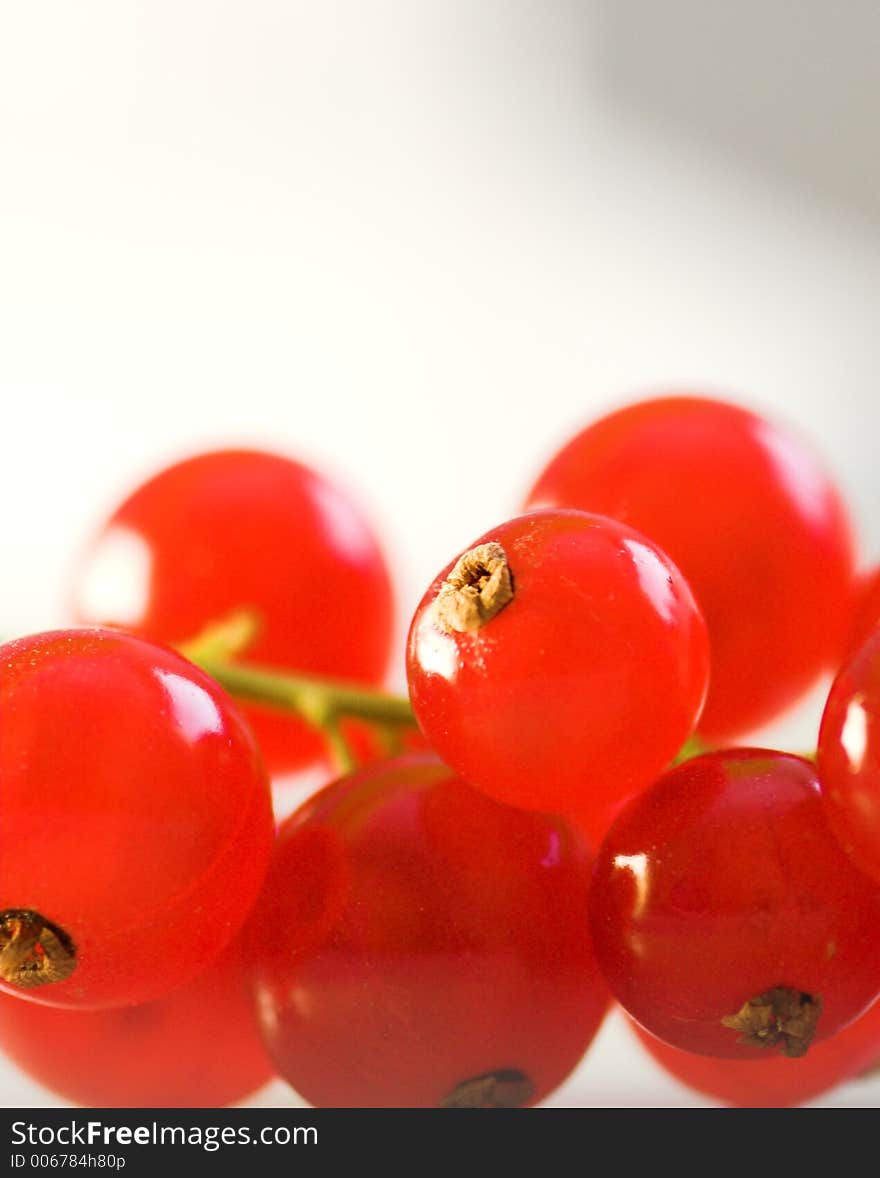 Red Currant Macro