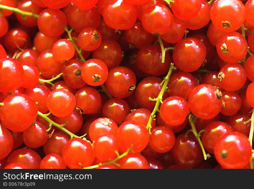 Red Currant Background