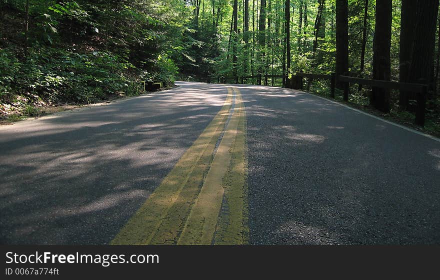 A winding road through the Cleveland Metroparks. A winding road through the Cleveland Metroparks