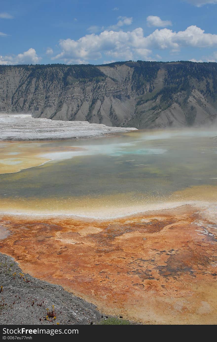 Geyser_Bacterial formation