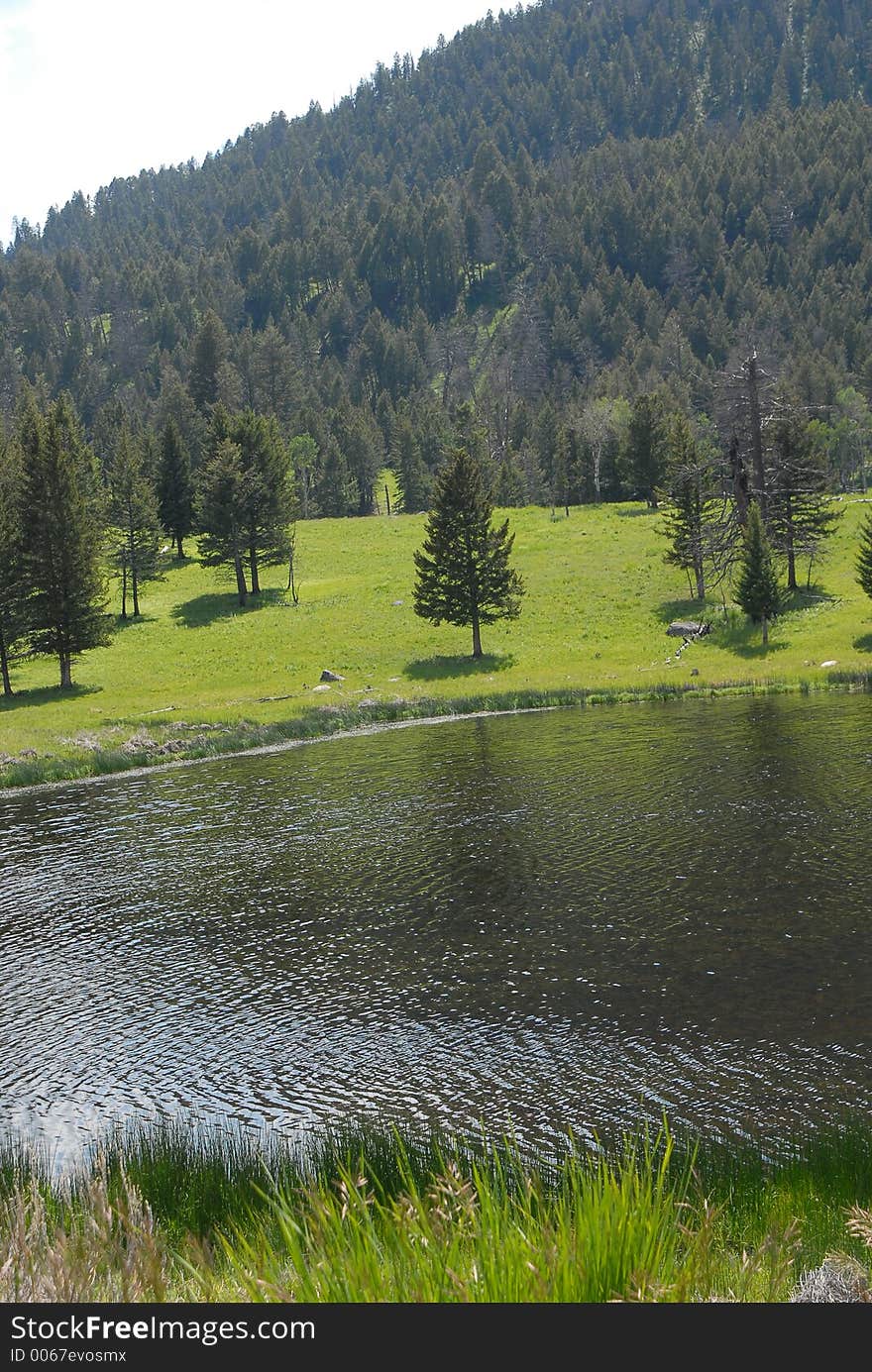 Yellowstone Lake