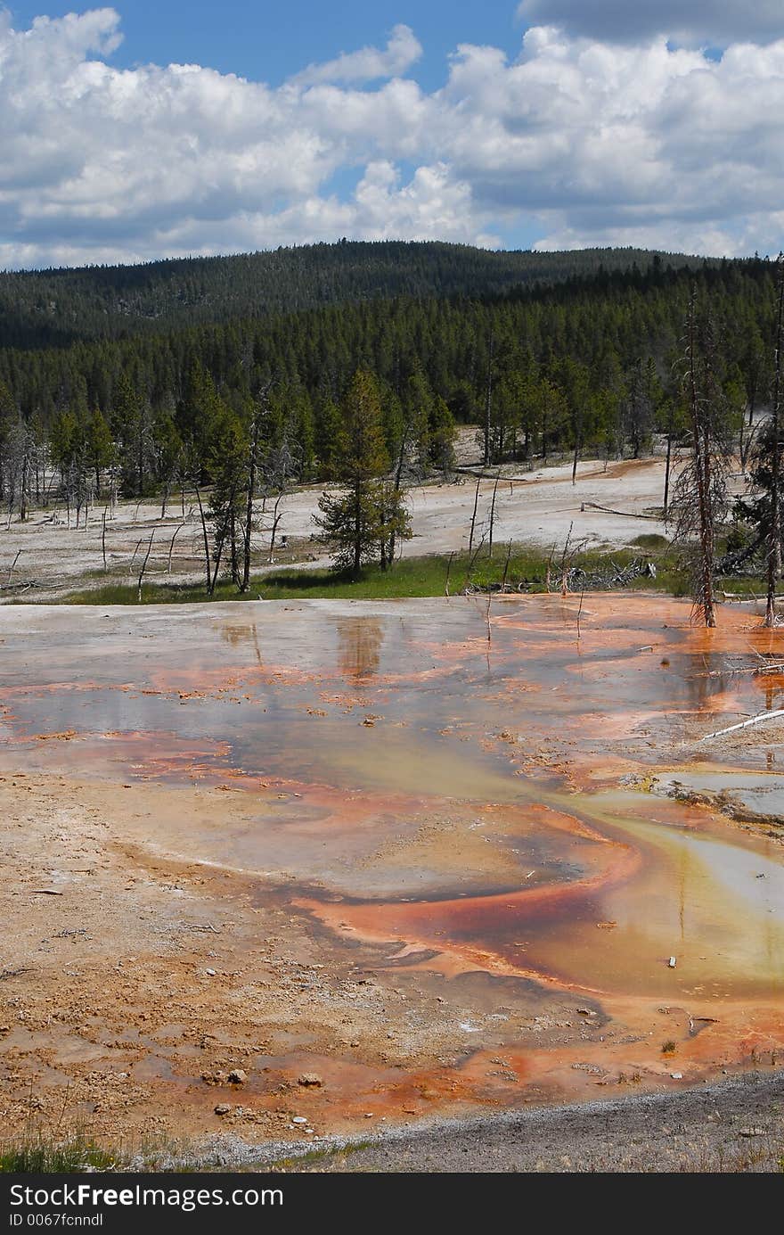 Geyser_Bacterial formation