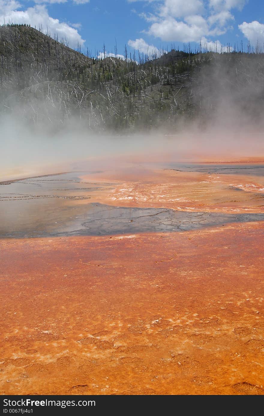 Hot spring Geyser_Bacterial formation