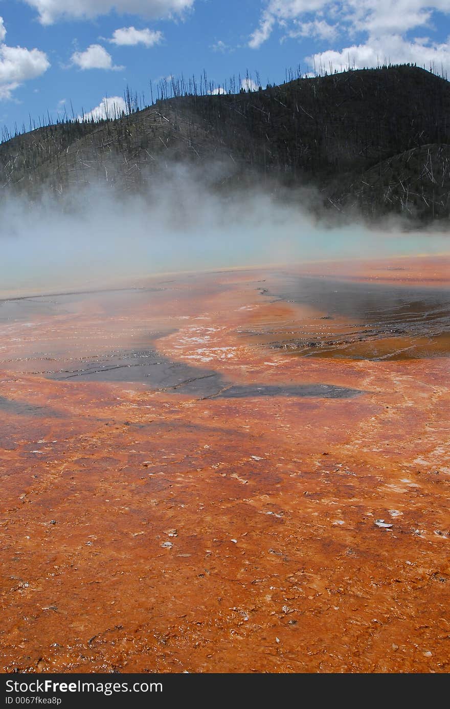 Hot spring Geyser_Bacterial formation