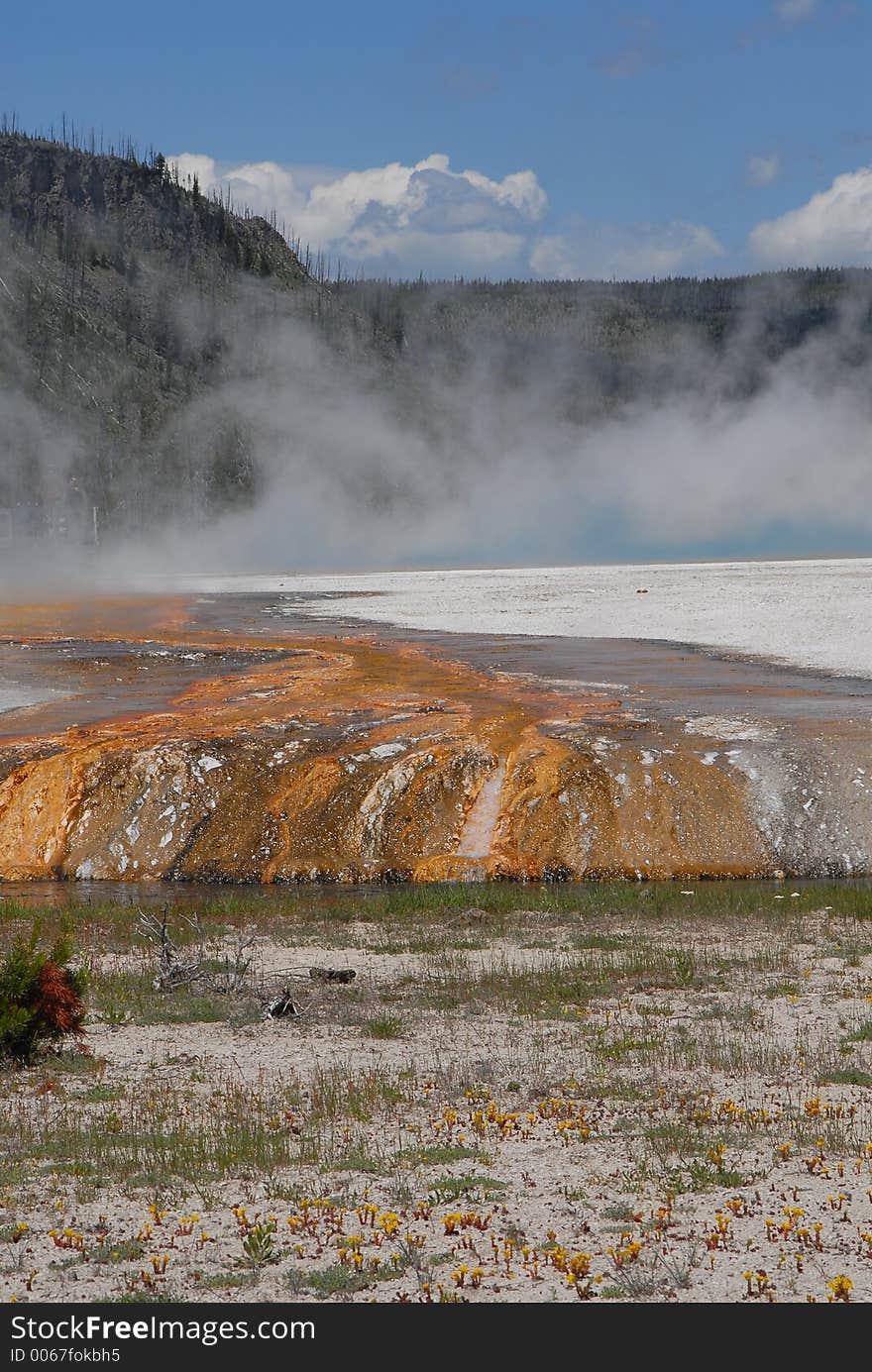 Hot spring Geyser_Bacterial formation