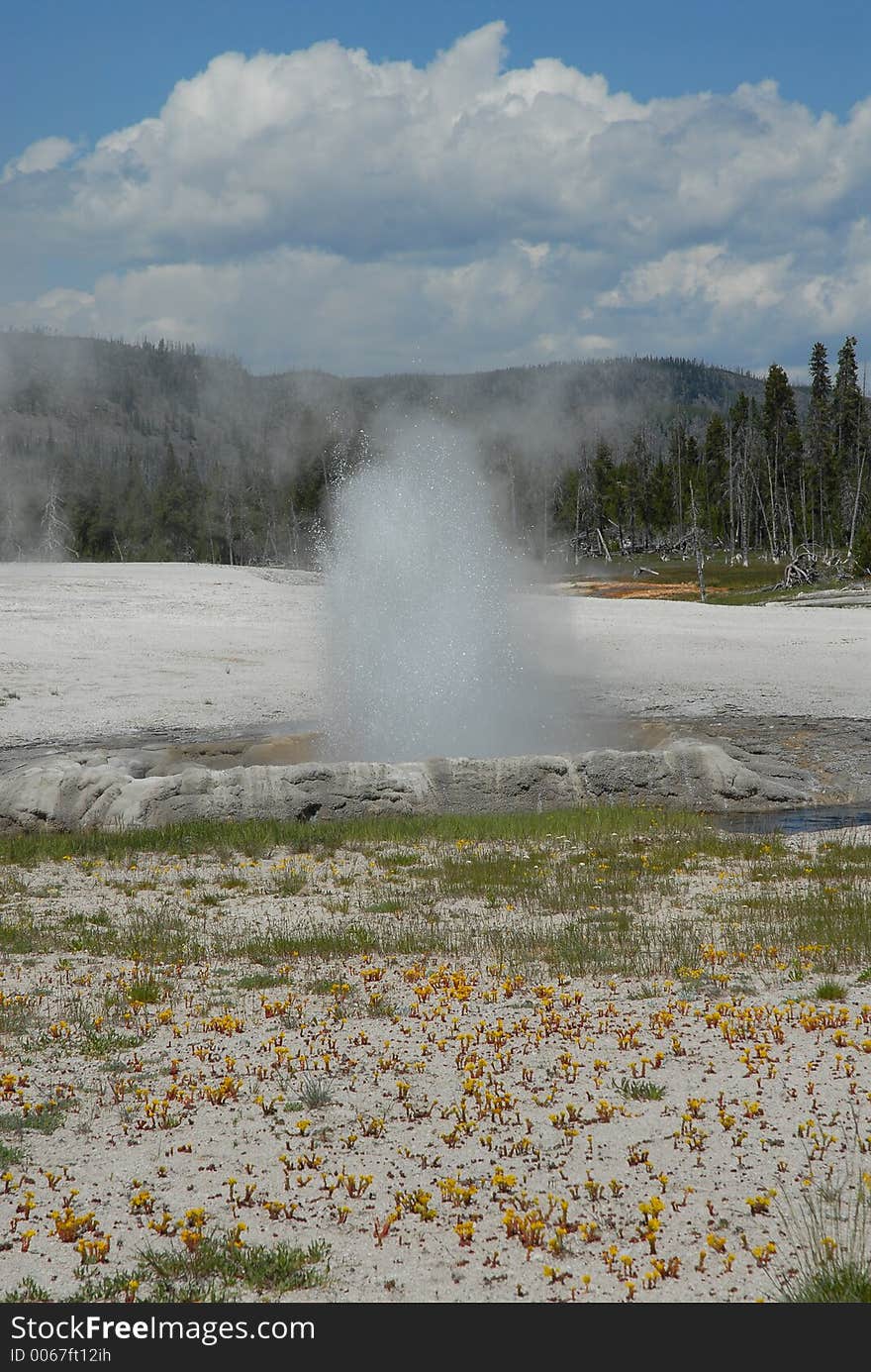 Sprouting Geyser Basin_Bacterial formation