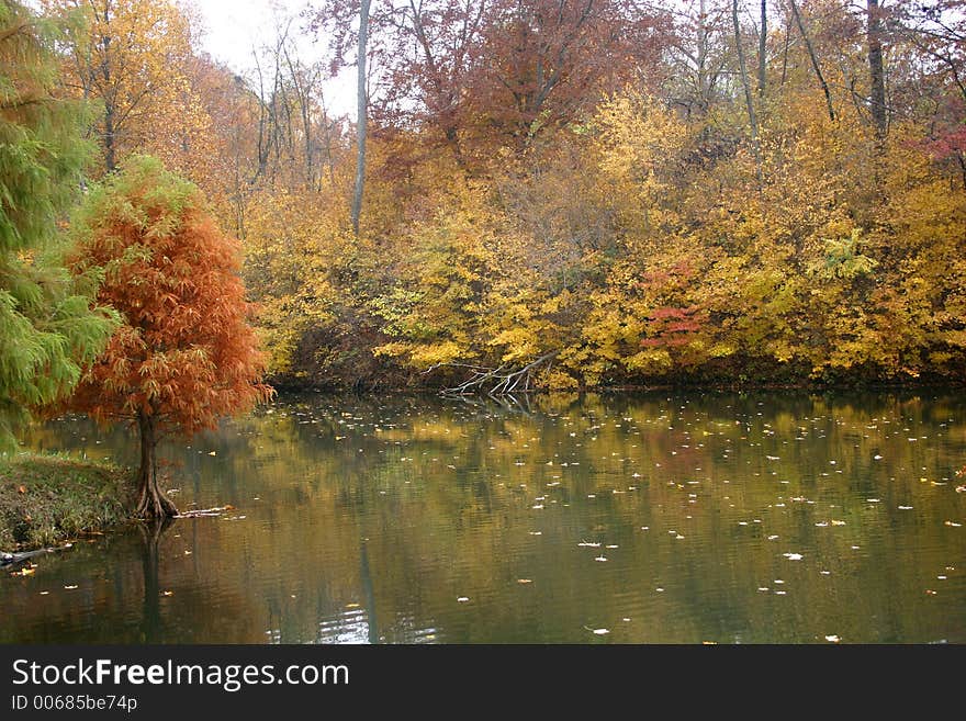 Fall colors around a small lake