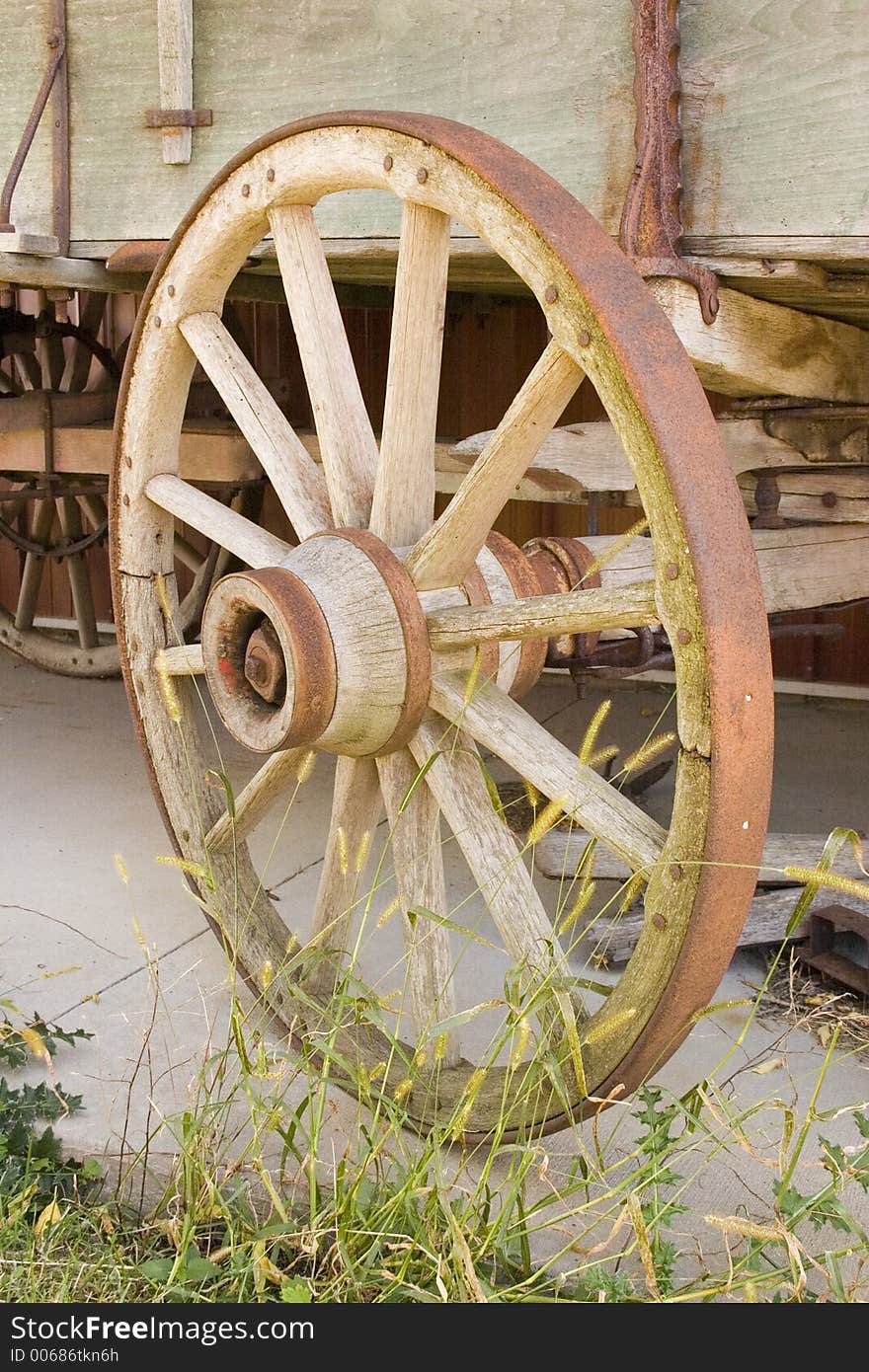 Wagon Wheel with weeds in front of them