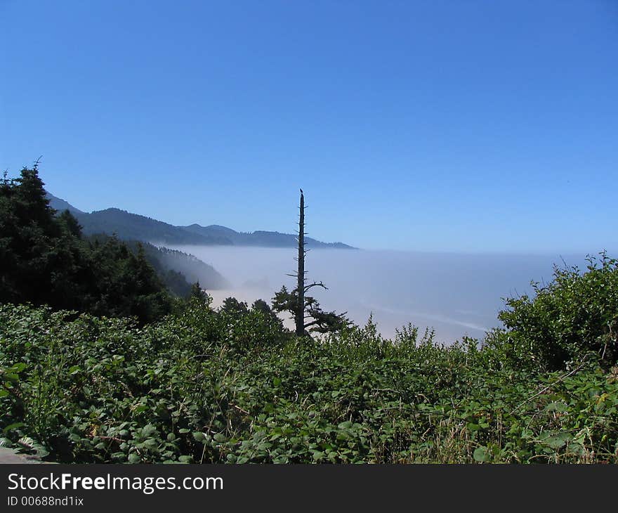 Northwest Coast of Oregon in the summer on a day I was above the clouds. Northwest Coast of Oregon in the summer on a day I was above the clouds.