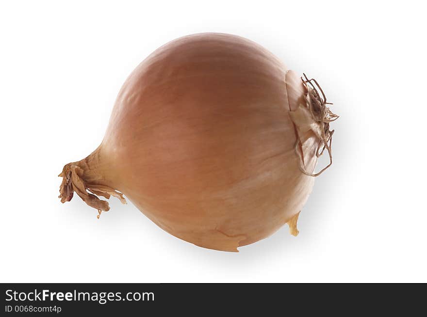 Isolated onion, clipping path included