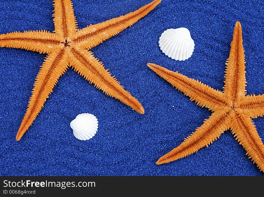 Starfish on a blue background