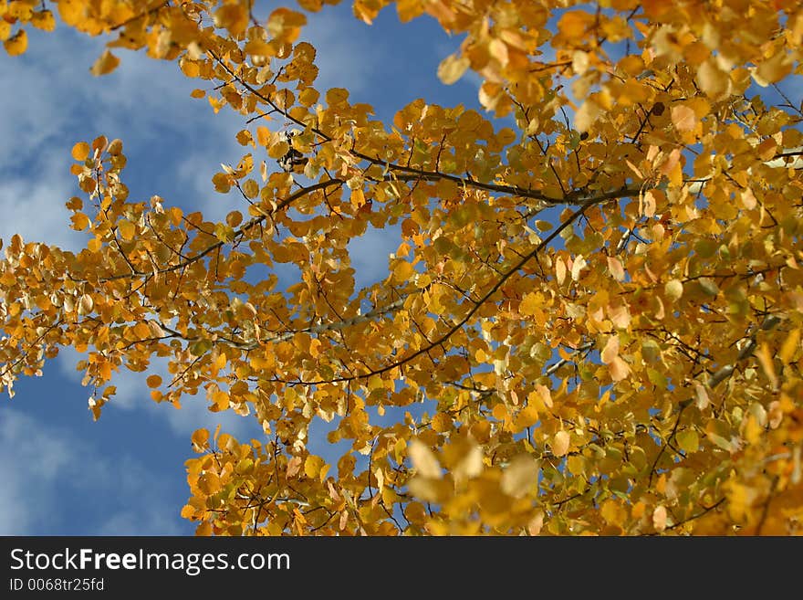 Autumn in Europe. Autumn in Europe