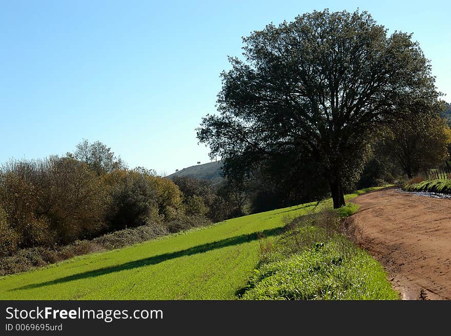 Lanscape on springtime