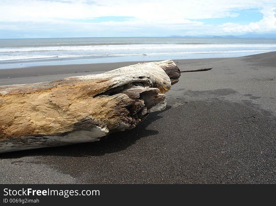 Wood piece on the beach. Wood piece on the beach