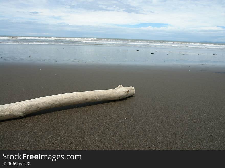 Wood on beach