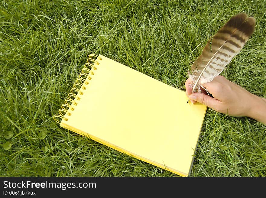 Yellow notebook in grass writing