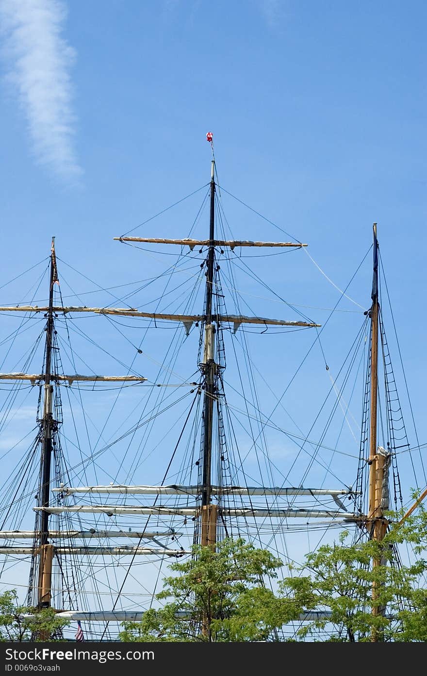 Masts above Trees