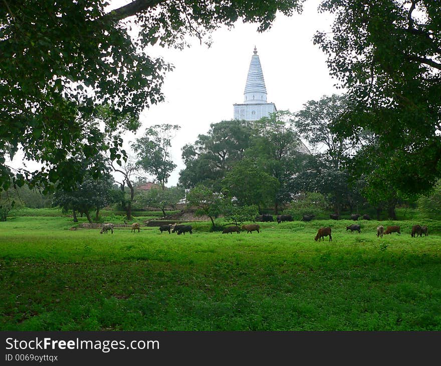 Ancient stupa. Ancient stupa