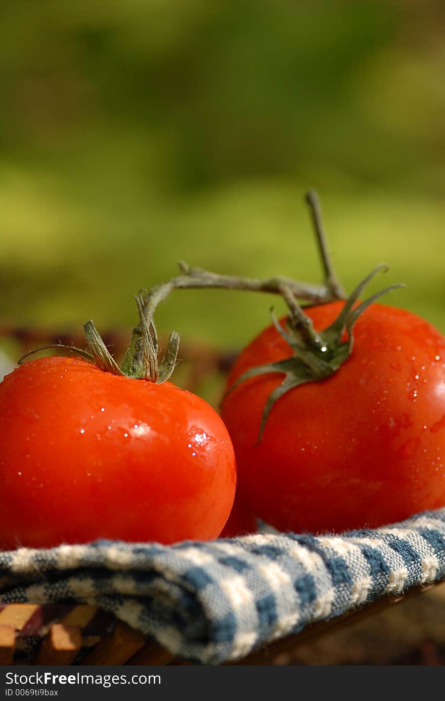 Vegetables in a basket. Vegetables in a basket