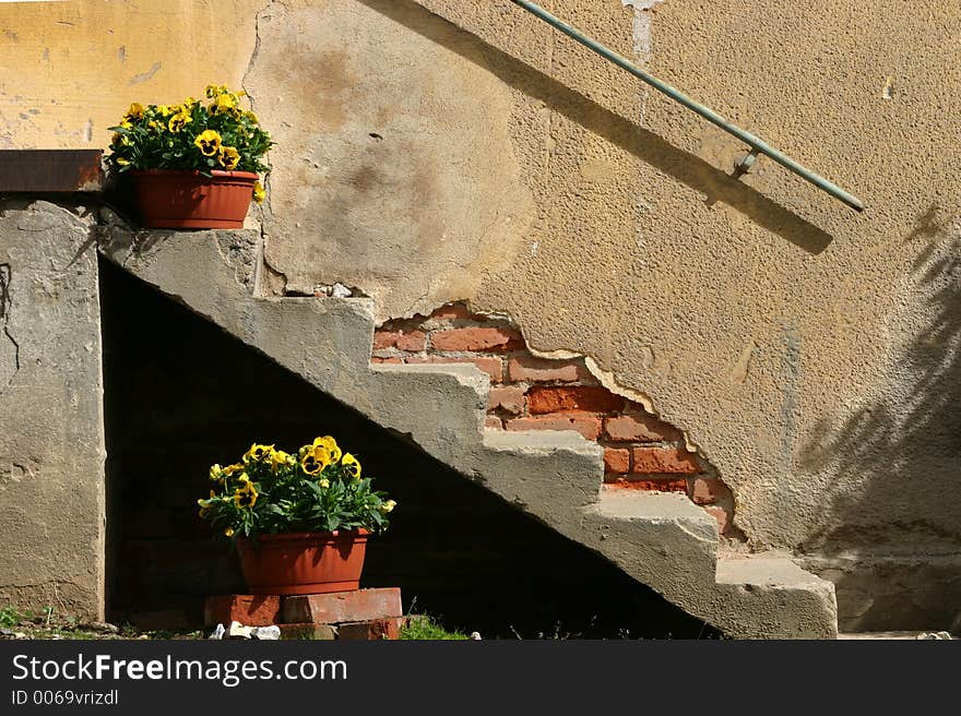 Shows two buckets of pansies in front of old wall. Shows two buckets of pansies in front of old wall