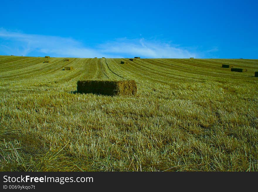 Bales of starw in a field against a blue sky. Bales of starw in a field against a blue sky