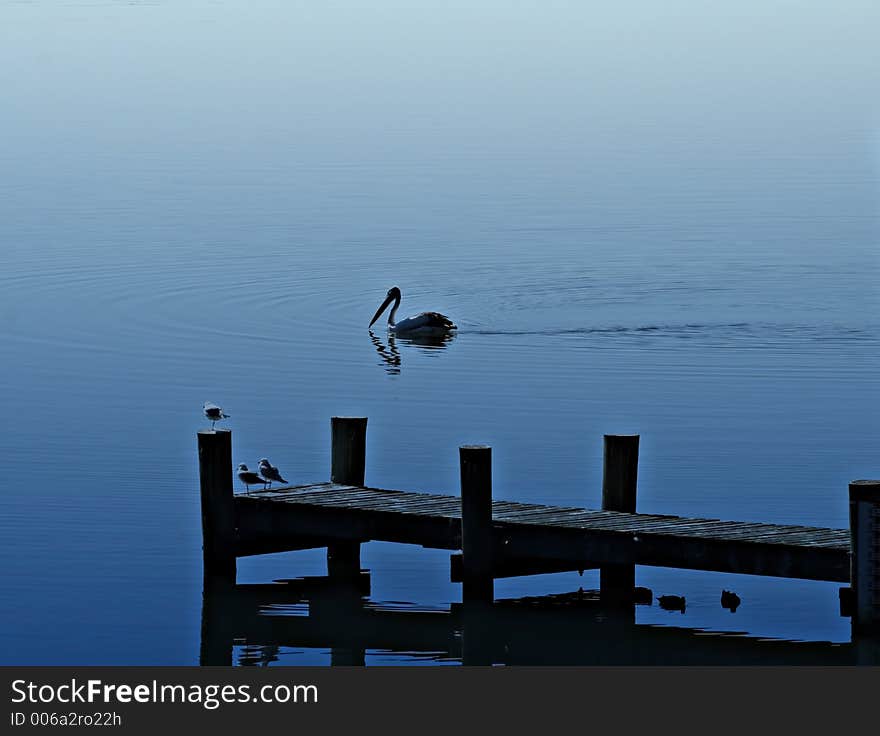 Jetty