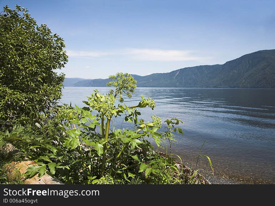 Teletskoe lake