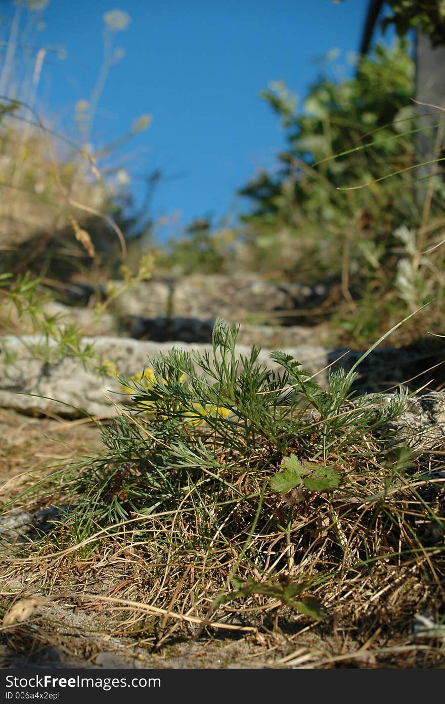 Stairs on hill