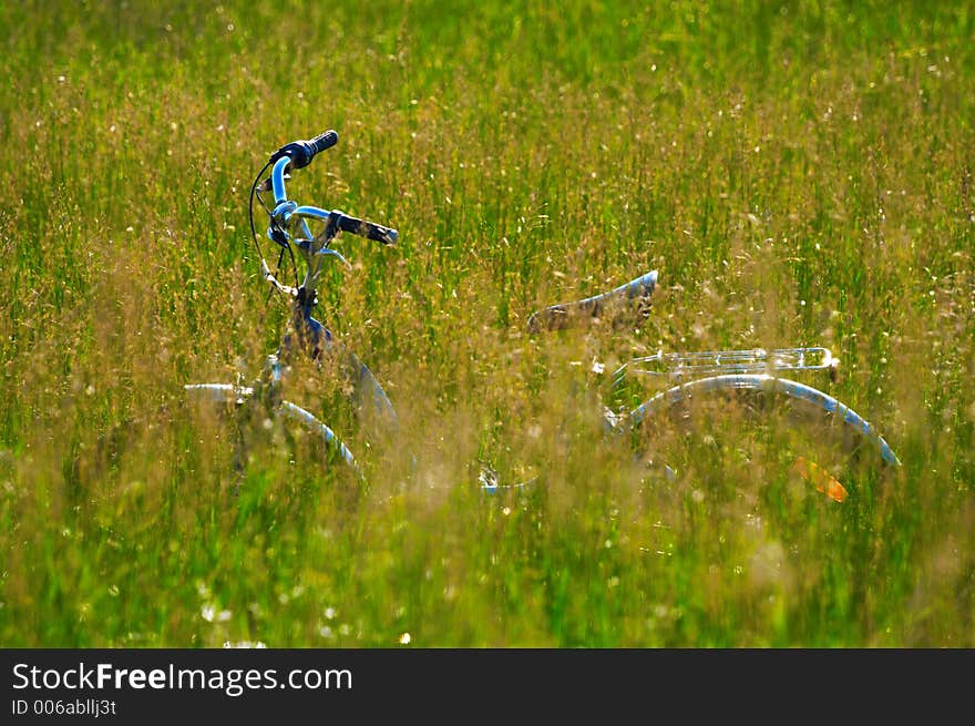 Bike in the grass