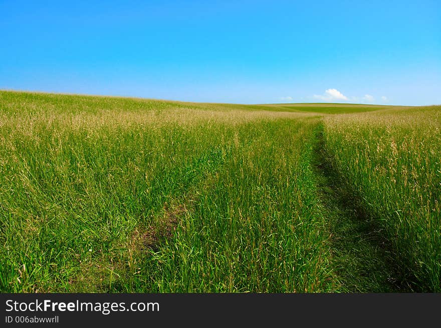 Road in field