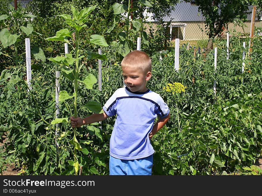 Young Gardener Boy