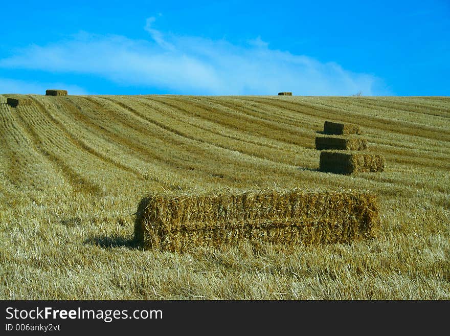 Bales of starw in a field against a blue sky. Bales of starw in a field against a blue sky