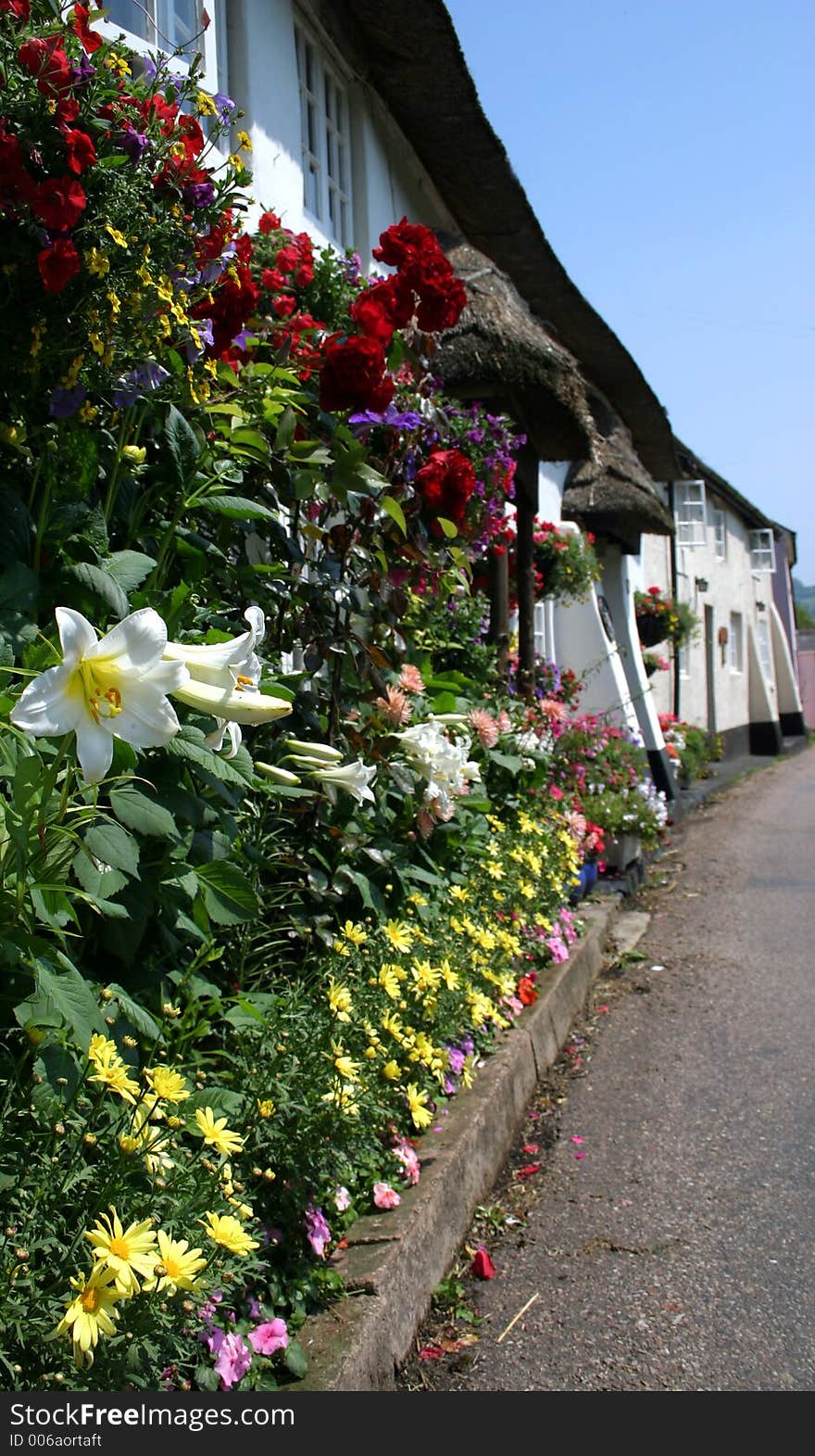 Flower-decked cottages