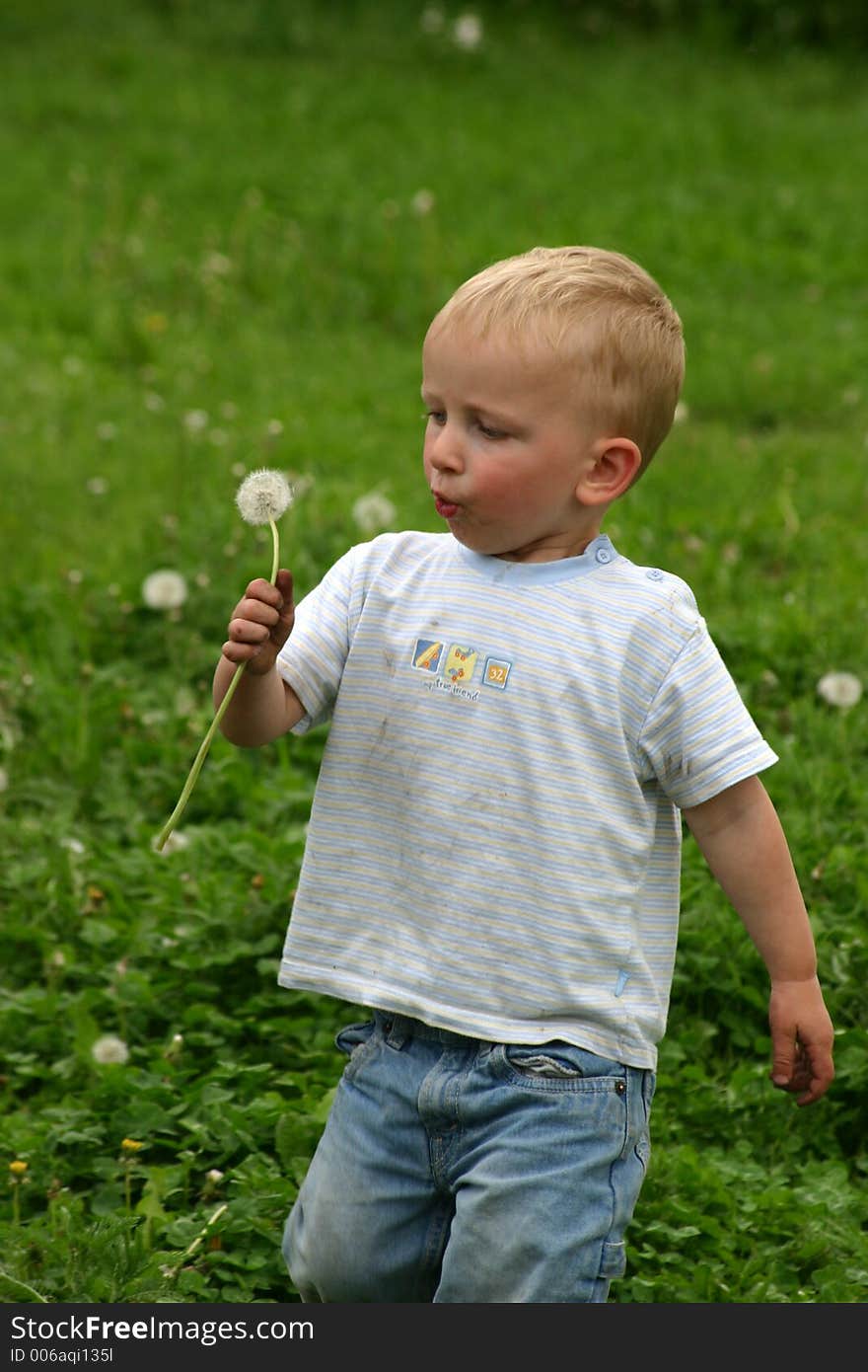 Boy and Dandelion