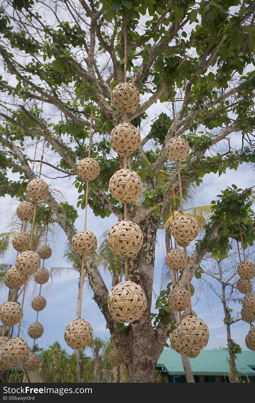 Hanging rattan balls from a tropical tree. Hanging rattan balls from a tropical tree