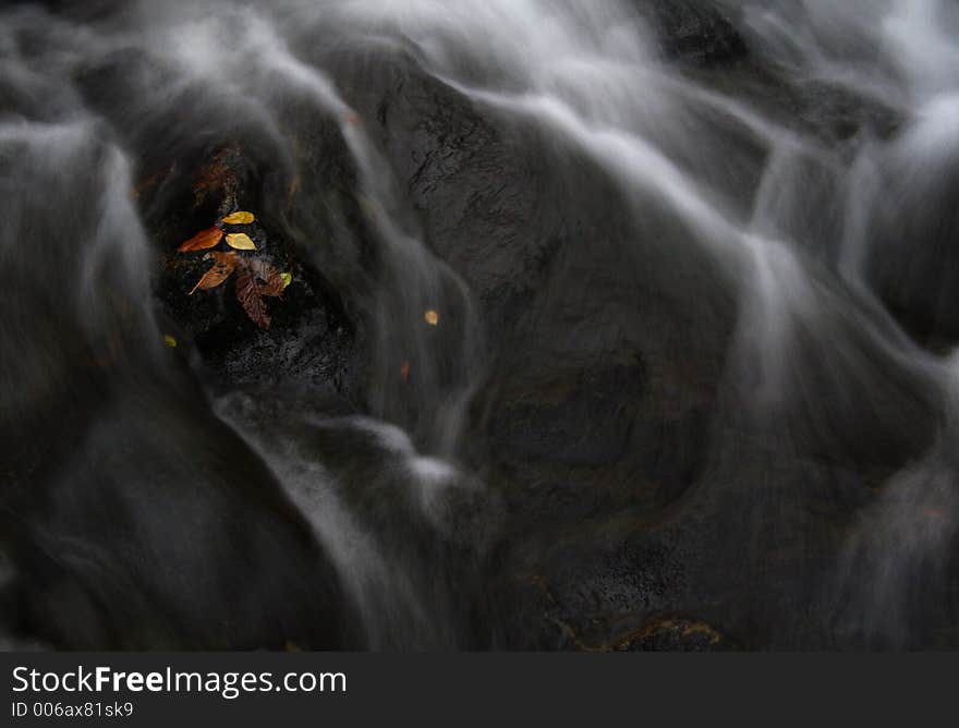 Some fallen leaves caught in a small cascade. Some fallen leaves caught in a small cascade