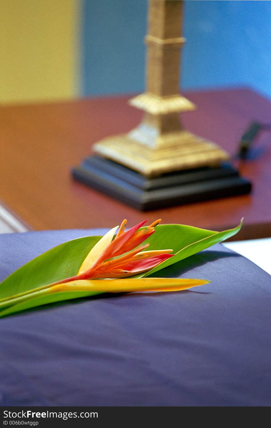 A tropical flower in a bedroom. A tropical flower in a bedroom