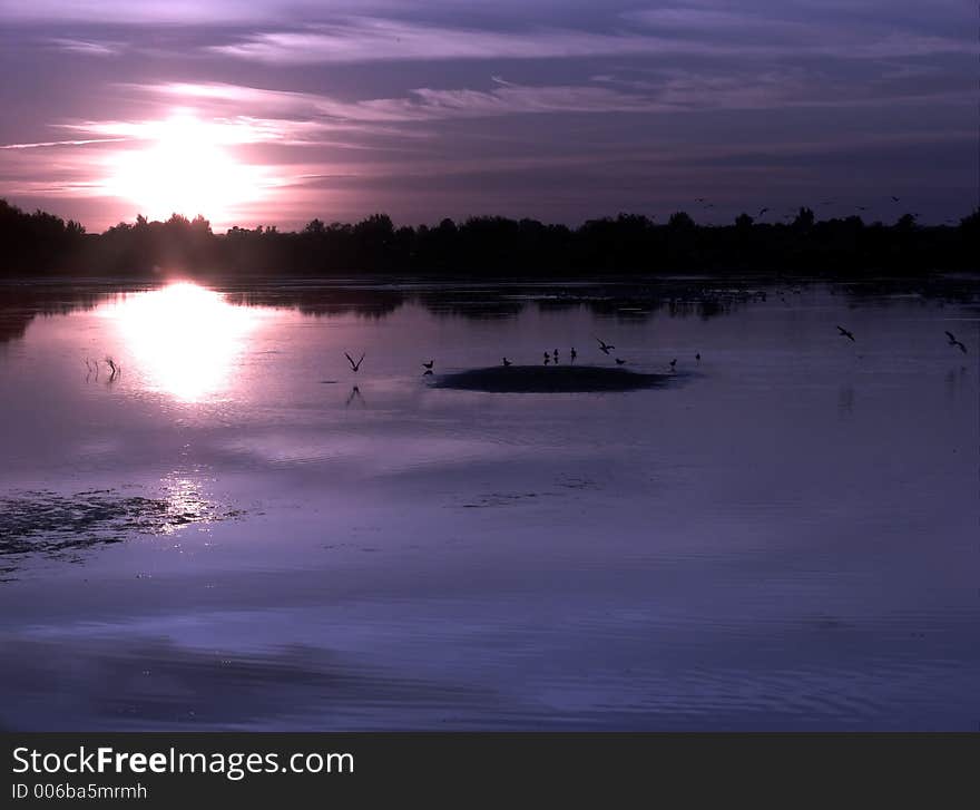 Purple sunset by the lake