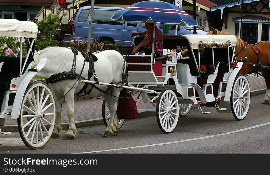 Buggy Ride