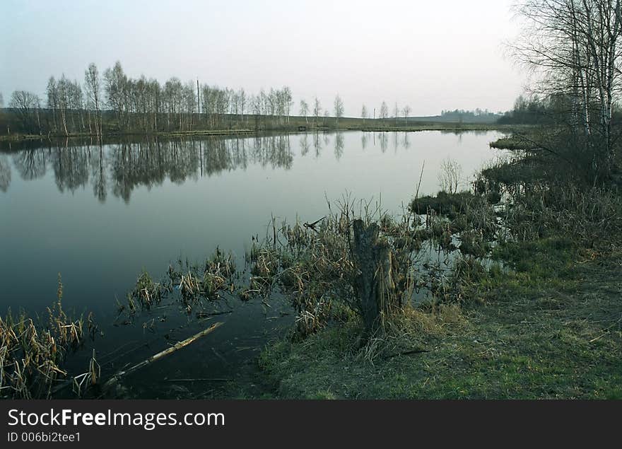 Dead lake. Moscow suburb. April