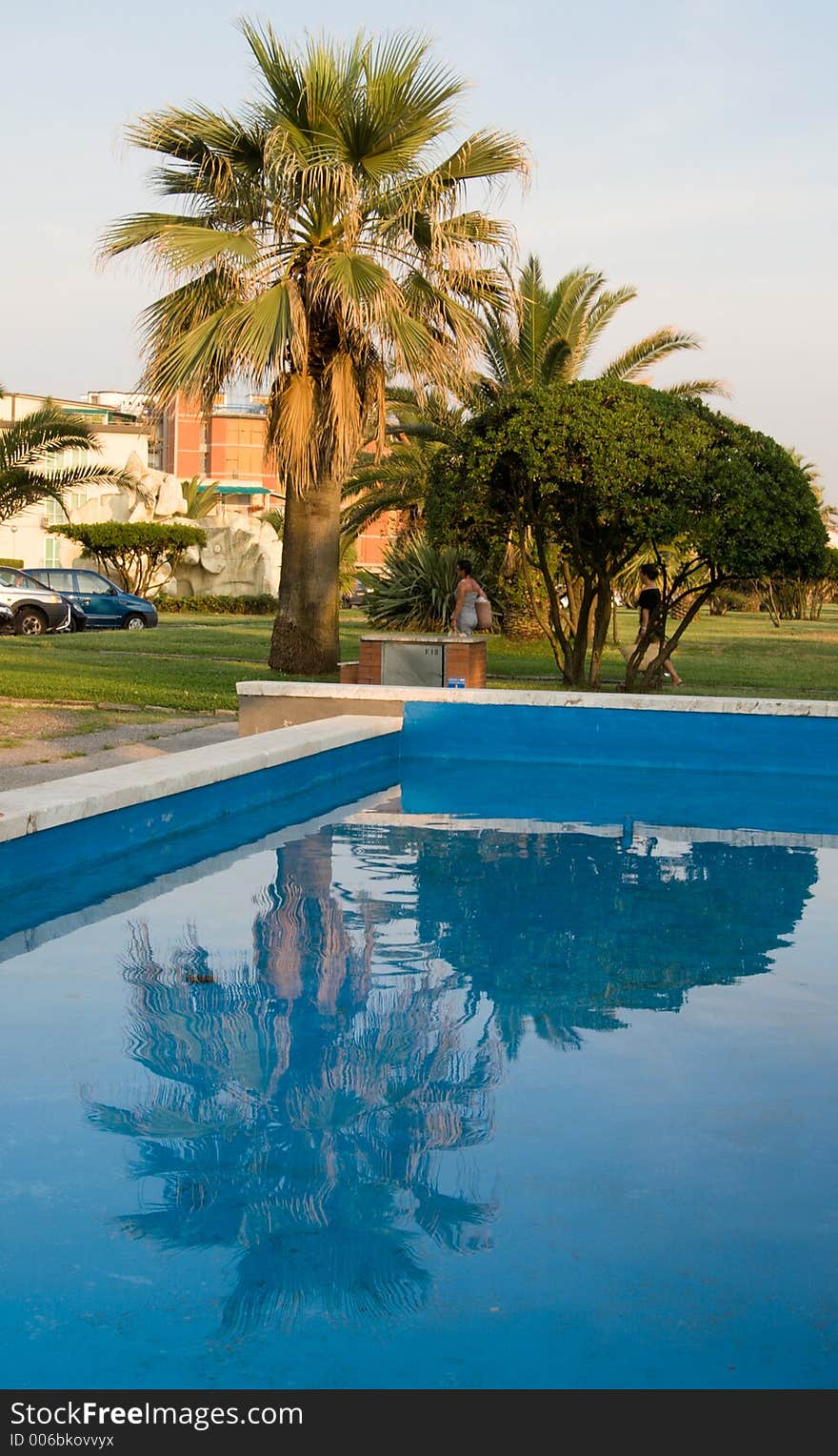 Palm Reflected In A Fountain, Italy