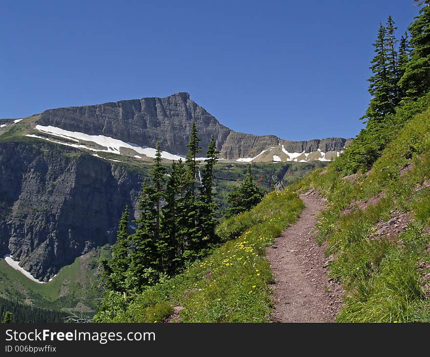 The Triple Divide Pass Trail