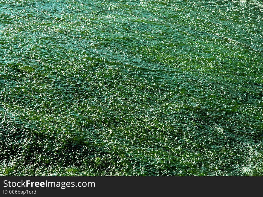 Riffle with green water flow. Riffle with green water flow