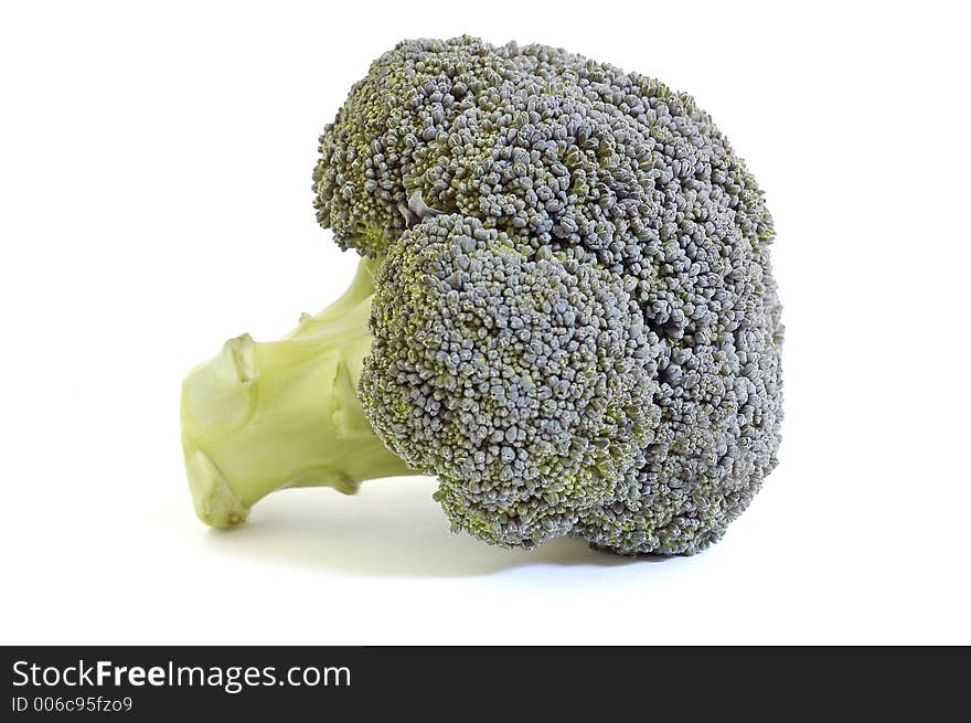 A nice head of broccoli against white. A nice head of broccoli against white