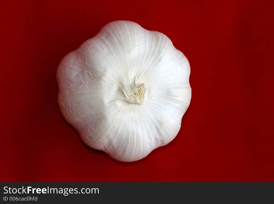 Garlic Bulb - Top - Red Background