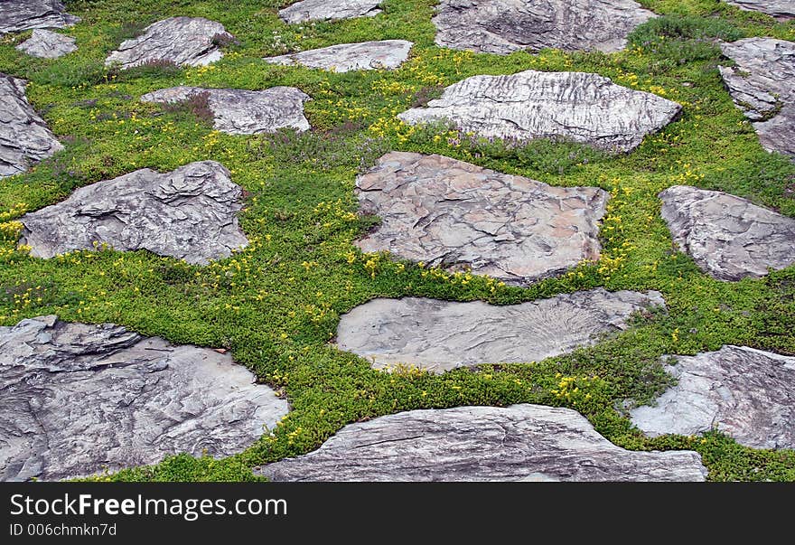 Green moss between grey stepping stones.