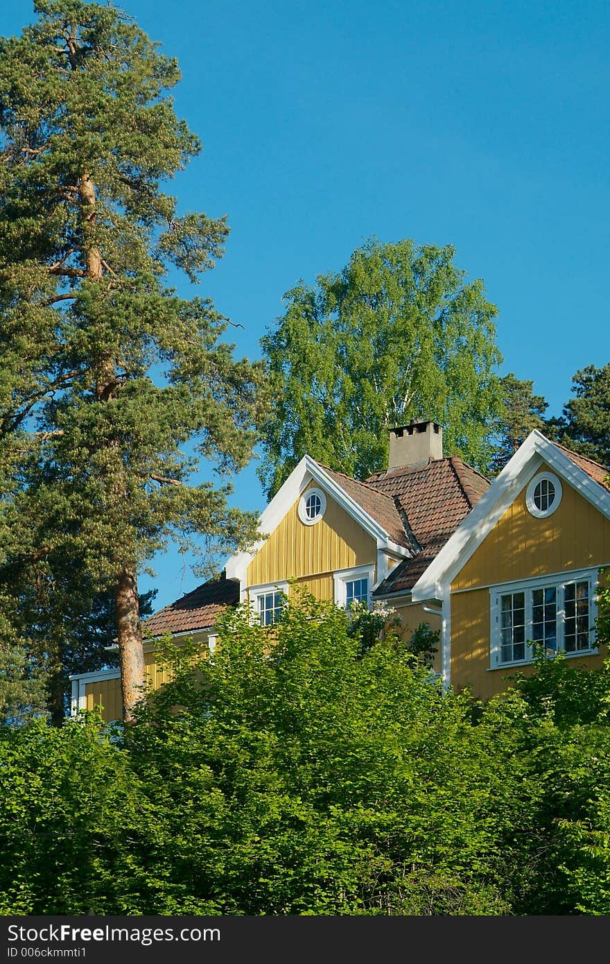 Yellow house in the forest