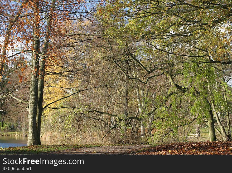 Danish Landscape01