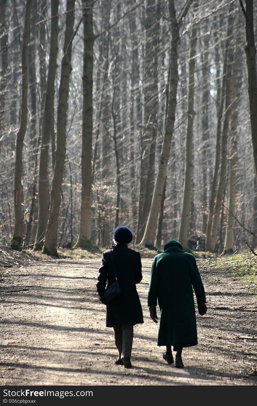 Two old ladies in a forest. Two old ladies in a forest